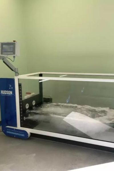 Underwater treadmill