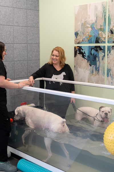 pawcenter-116