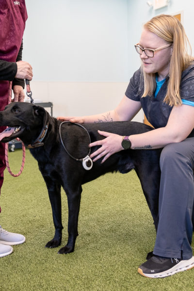 pawcenter-169