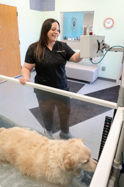 pawcenter-60